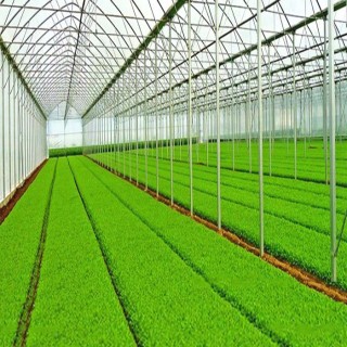 Natural Or Customized Agricultural Greenhouse Solar System Customized Color Corrosion Resistance PV Ground Support